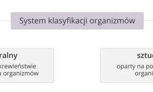 Co to jest systematyka w biologii i jak wpływa na klasyfikację organizmów