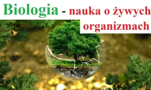 Czy biologia to nauka ścisła? Odkryj jej unikalną naturę i metody