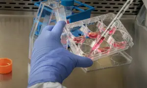 Jakie są dziedziny biologii? Poznaj fascynujące specjalizacje!