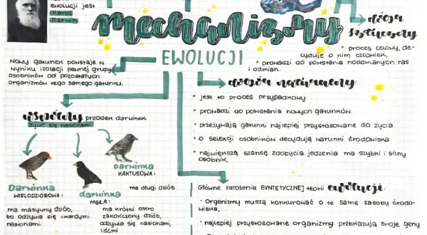 Schemat przedstawia mechanizmy ewolucji, w tym dobór naturalny i sztuczny, z przykładami dziobów darwinek.