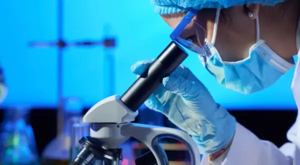 Jakie studia po rozszerzonej biologii? Odkryj najlepsze kierunki dla siebie