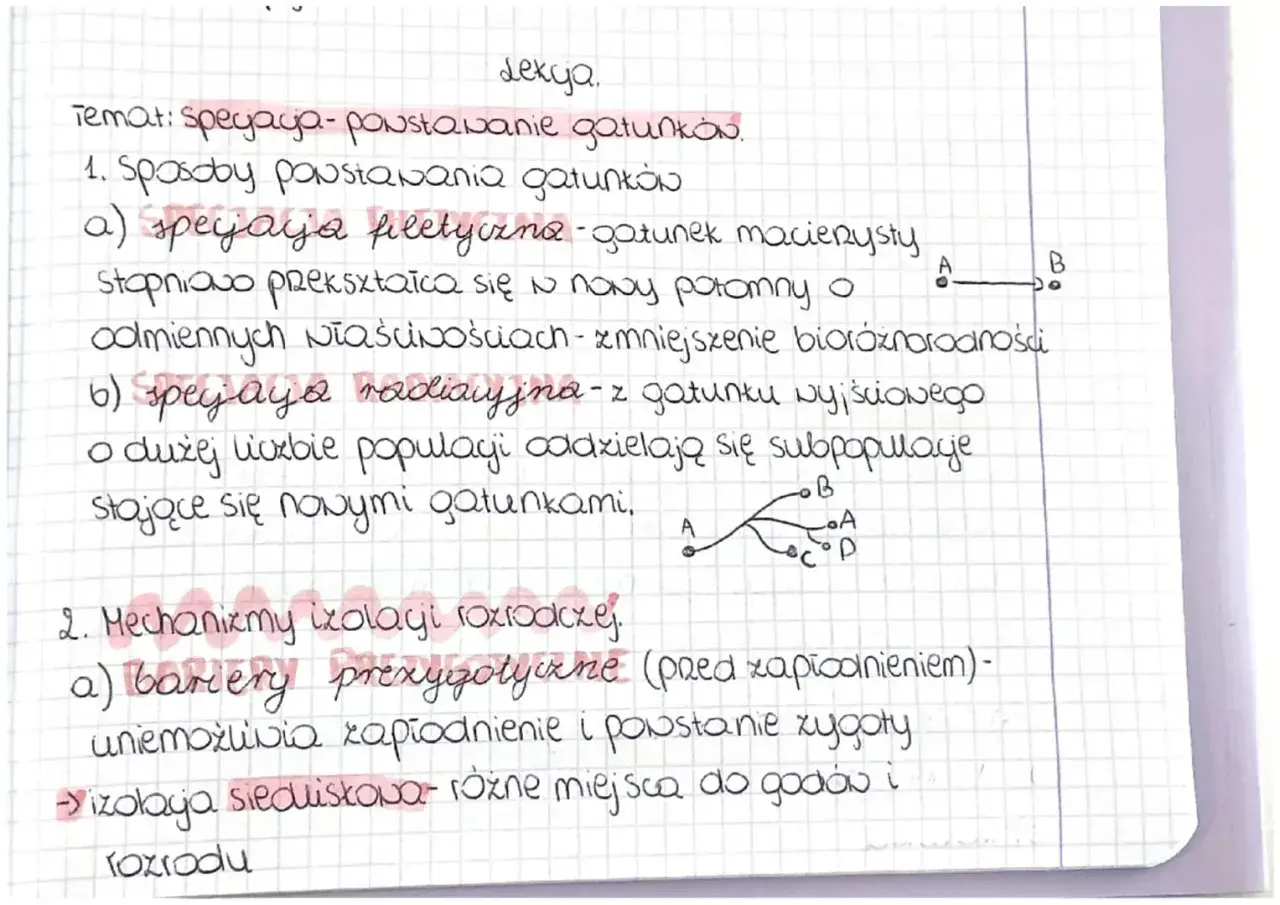 Notatki o **specjacji**: powstawaniu gatunków, z podziałem na specjację filetyczną i radiacyjną, oraz mechanizmy izolacji rozrodczej.