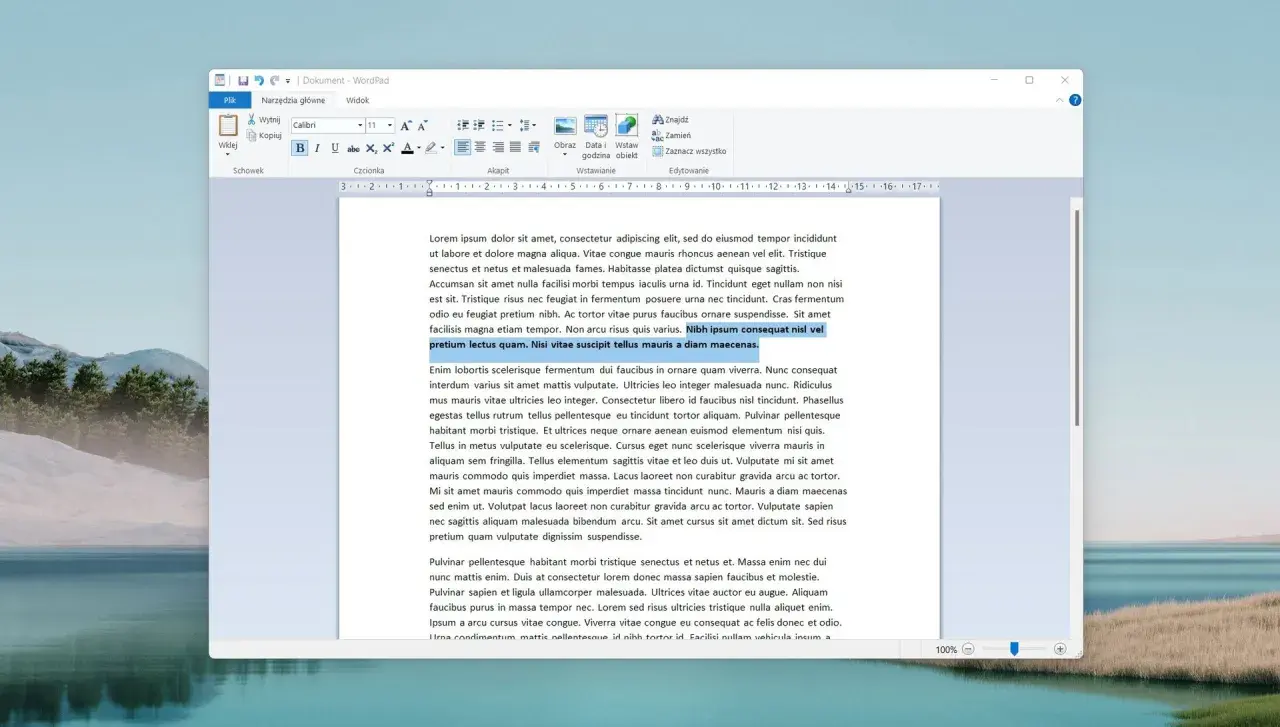 Okno programu WordPad z tekstem.