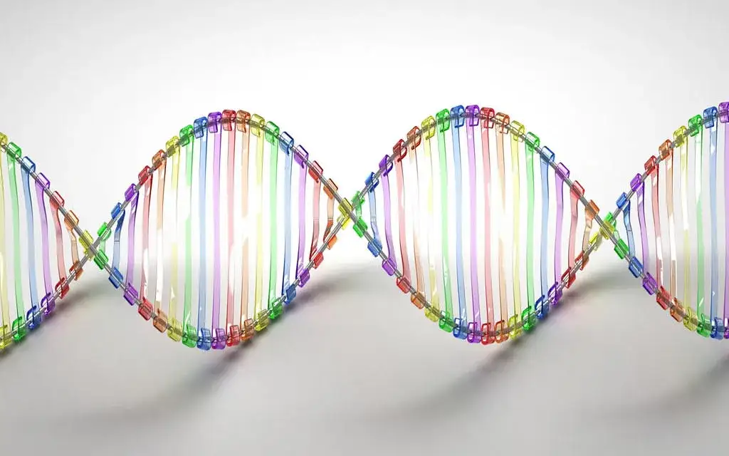 Zdjęcie Jakie są dziedziny biologii? Poznaj fascynujące specjalizacje!