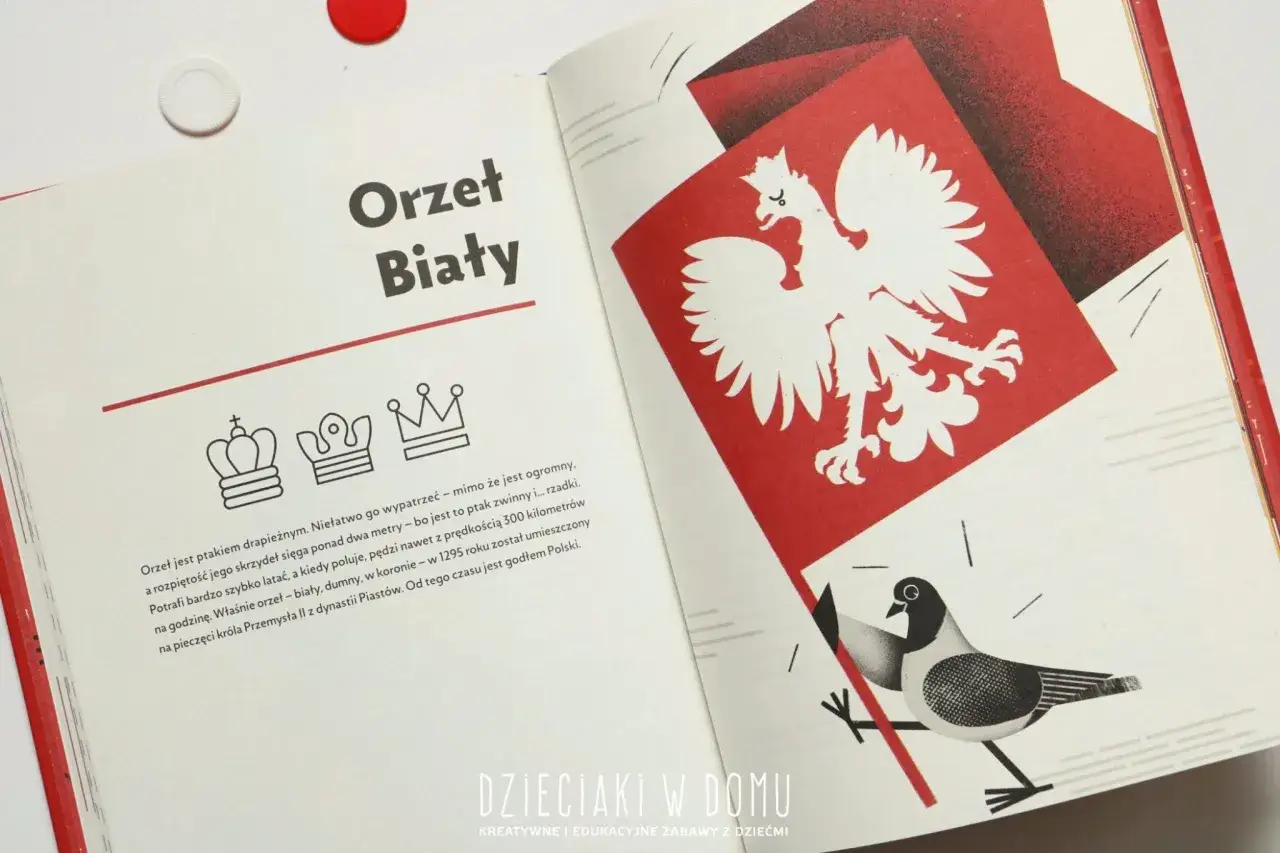 Biały orzeł na czerwonym tle, symbol polskiego motywu patriotyzmu. Obok korony i gołąbka, nawiązujące do historii i symboliki Polski.