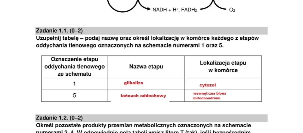 Zdjęcie Najczęstsze tematy na maturze z biologii rozszerzonej, które musisz znać