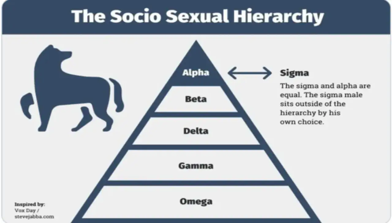 Hierarchia społeczno-seksualna: co to sigma? Sigma jest równy alfie, ale wybiera życie poza hierarchią.