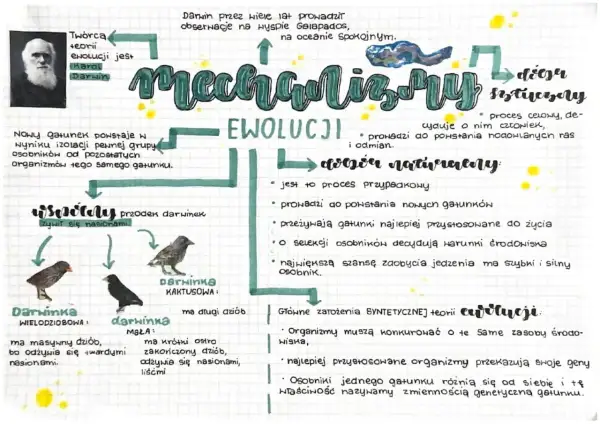 Schemat przedstawia mechanizmy ewolucji, w tym dobór naturalny i sztuczny, z przykładami dziobów darwinek.