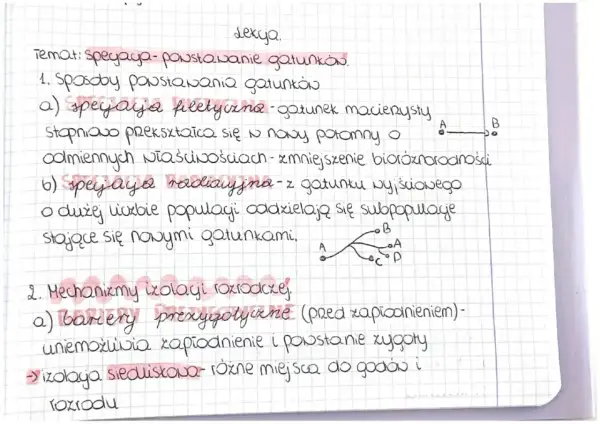 Notatki o **specjacji**: powstawaniu gatunków, z podziałem na specjację filetyczną i radiacyjną, oraz mechanizmy izolacji rozrodczej.